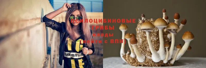 Псилоцибиновые грибы Psilocybe  kraken ONION  Буинск 